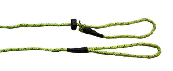 petnation reflective leash