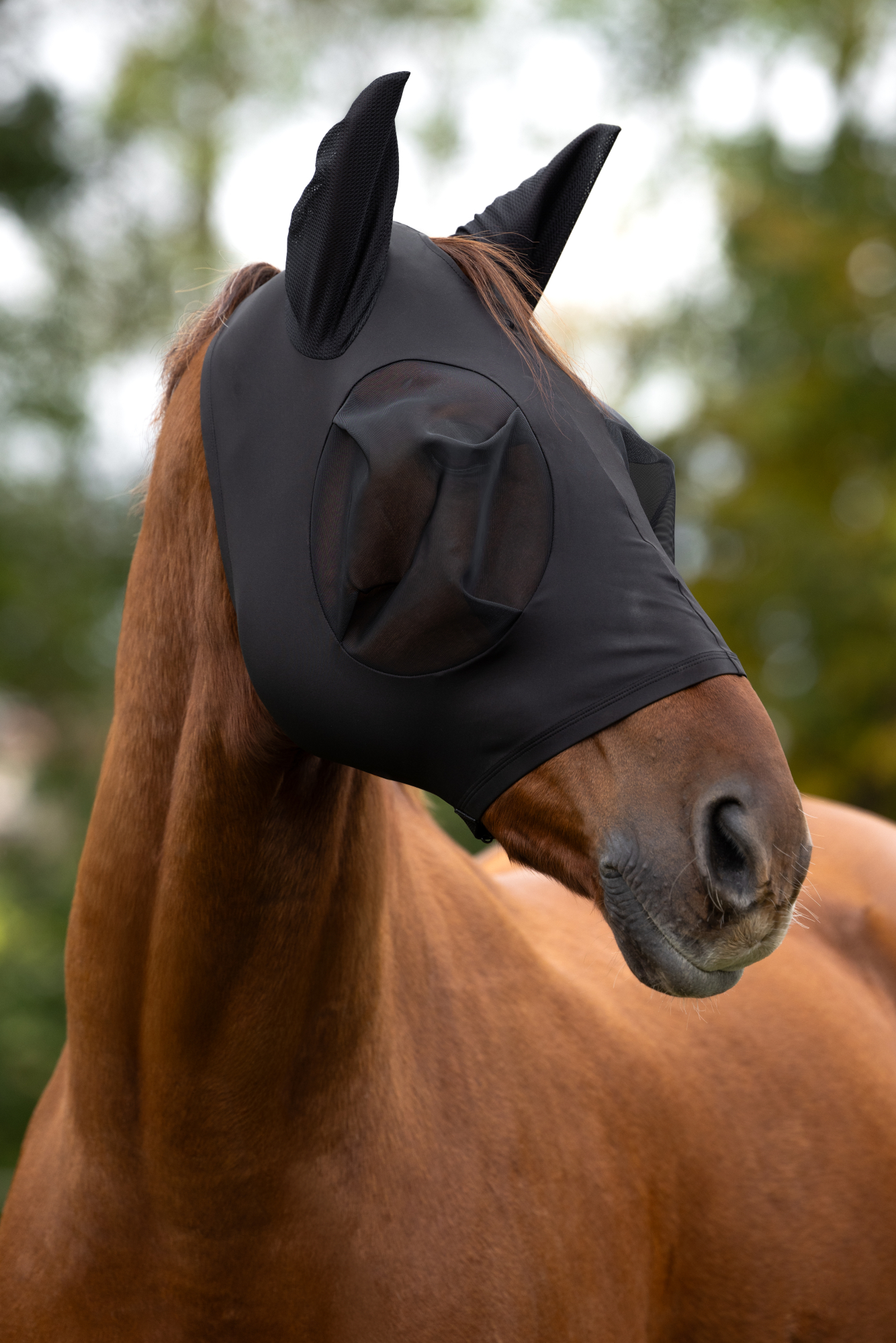 Covalliero Fly Mask FinoStretch Zipper, black - 2