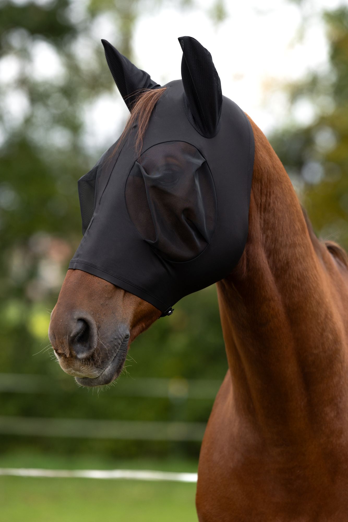 Covalliero Fly Mask FinoStretch Zipper, black - 3
