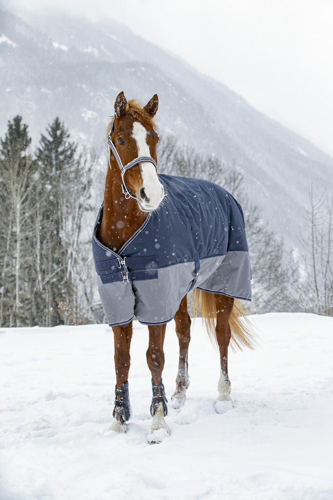 EQUITHEME TYREX 600 D Turnout Rug Navy/Grey 450 g - 2