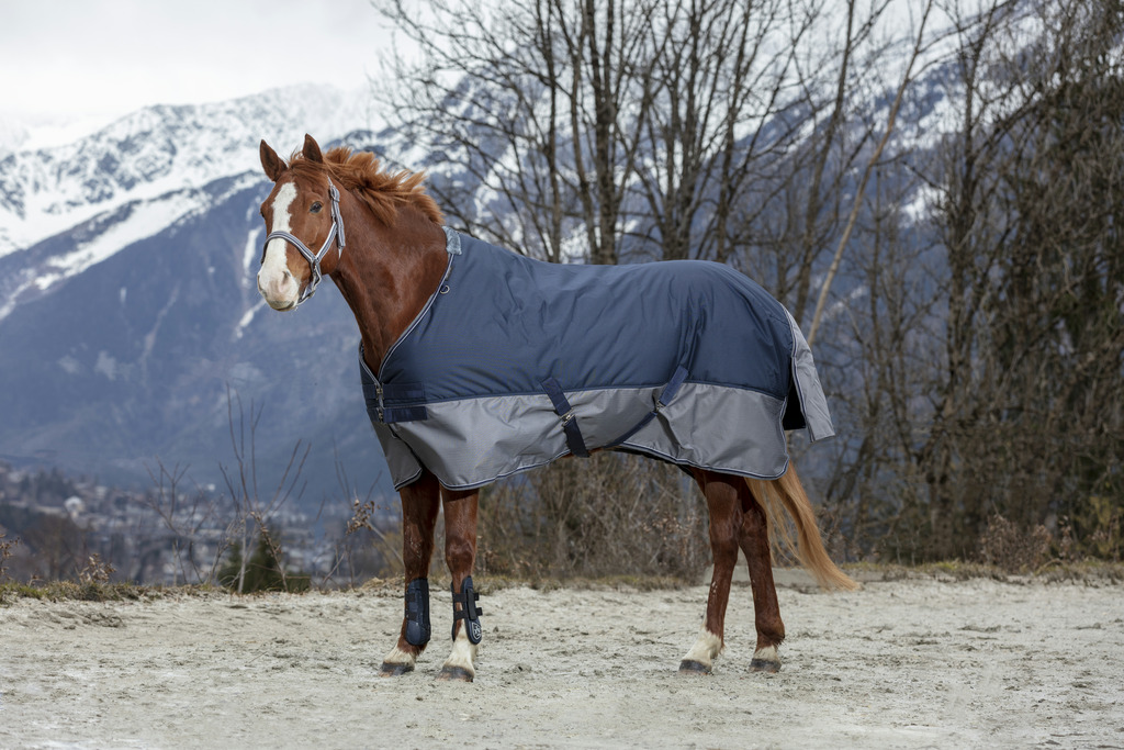 EQUITHEME Tyrex 600 D Turnout Loimi Vuorattu Polar Fleecellä Navy/Harmaa - 3
