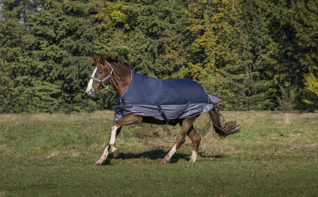 EQUITHEME Tyrex 600 D Turnout Loimi Vuorattu Polar Fleecellä Navy/Harmaa