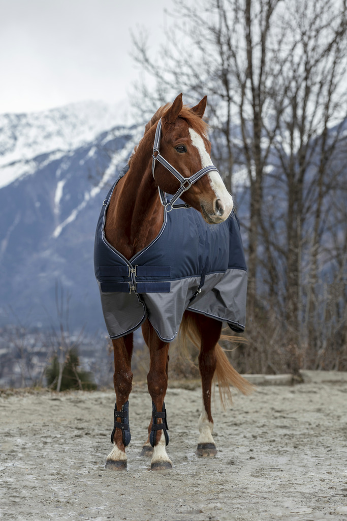 EQUITHEME Tyrex 600 D Turnout Loimi Vuorattu Polar Fleecellä Navy/Harmaa - 4