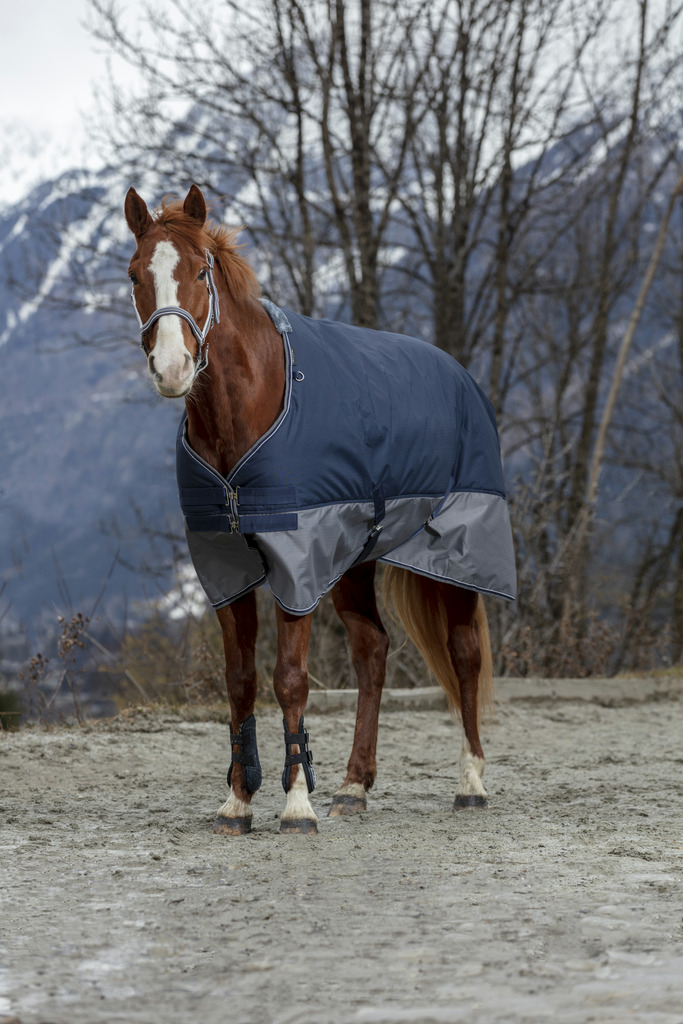 EQUITHEME Tyrex 600 D Turnout Loimi Vuorattu Polar Fleecellä Navy/Harmaa - 5