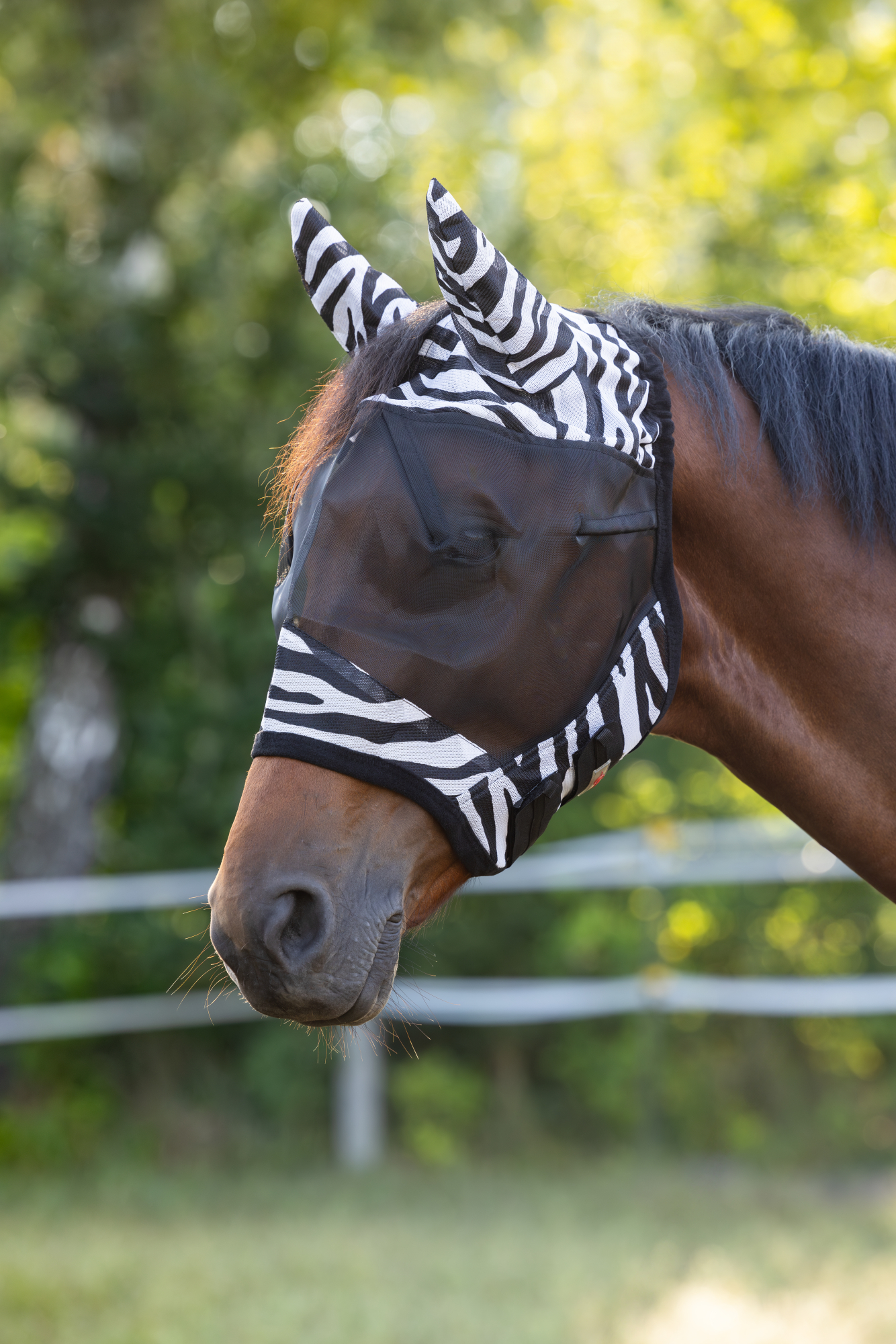 Covalliero Lennokkikypärä Zebra, jossa on korvasuojaus