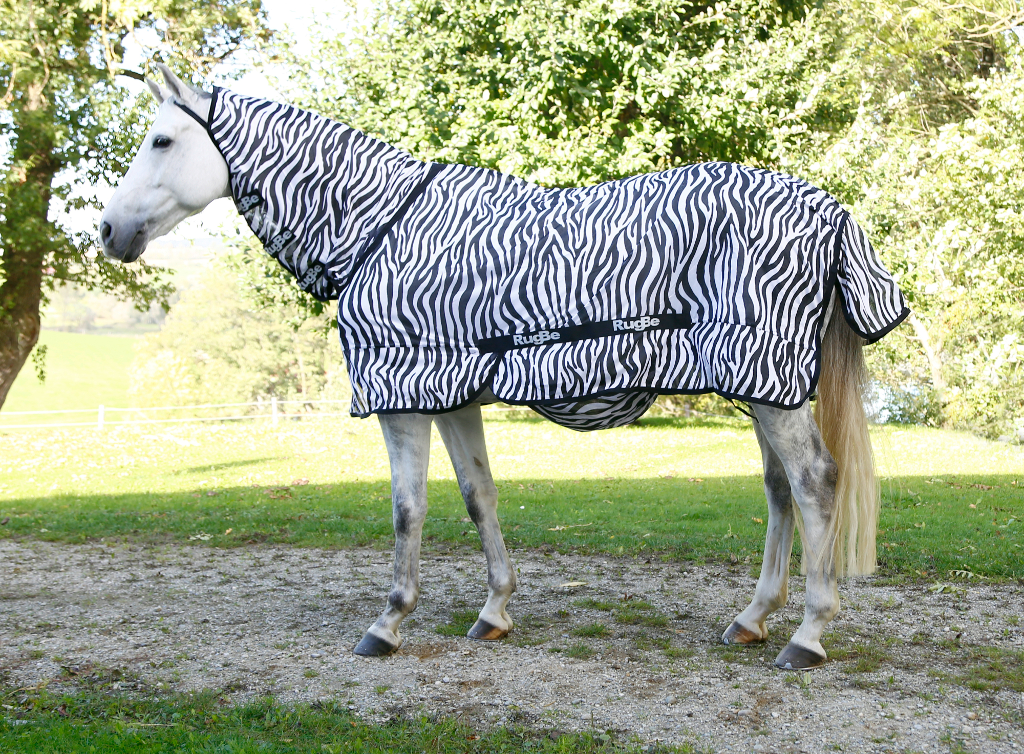 Covalliero Lennokkihuopa Zebra, mukaan lukien kaulakappale - 4