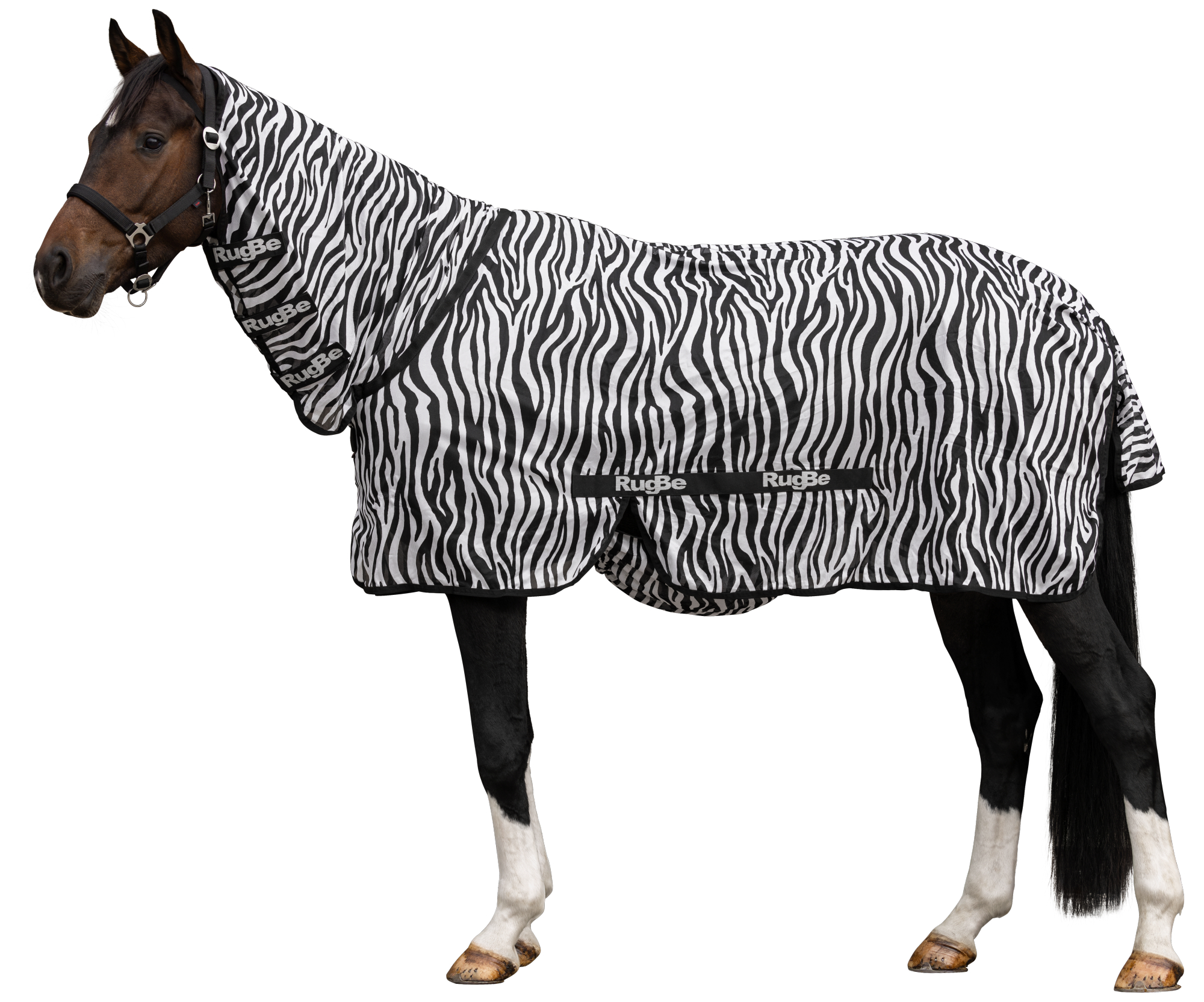 Covalliero Lennokkihuopa Zebra, mukaan lukien kaulakappale - 3