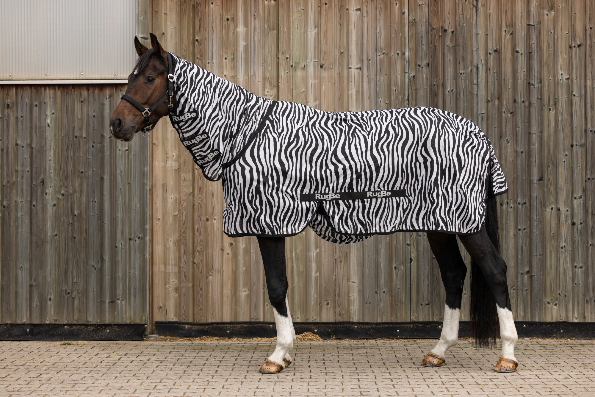 Covalliero Lennokkihuopa Zebra, mukaan lukien kaulakappale - 7