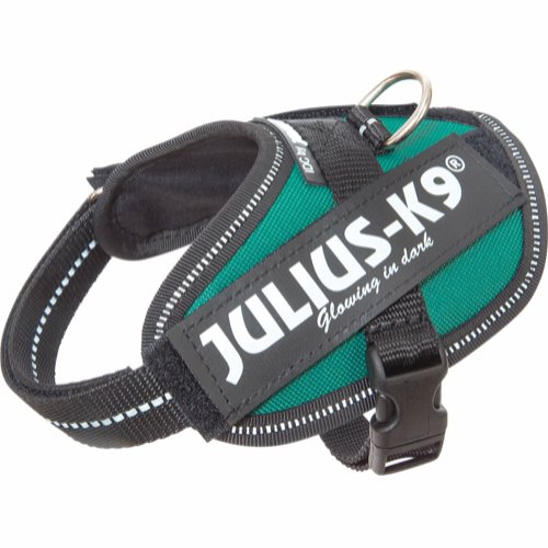 Julius-K9 IDC Powerharness - Petrol Green, 29-36cm - only this copy