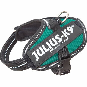 Julius-K9 IDC Powerharness - Petrol Green, Baby1 - vain tämä kappale