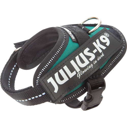 Julius-K9 IDC Powerharness - Petrol Green, 29-36cm - only this copy - 2