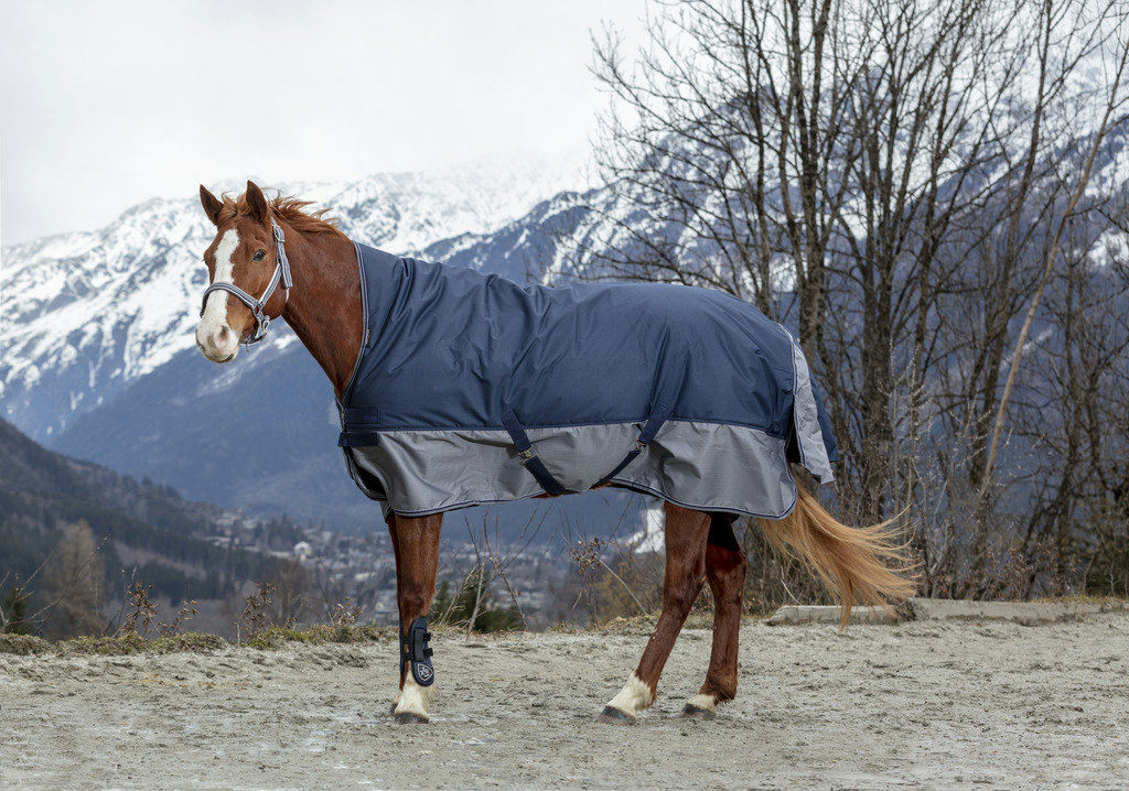 EQUITHEME Tyrex 600 D Turnout Täcke High Neck Navy/Grå 300 g - 2