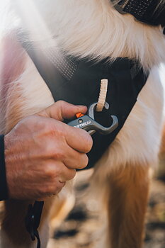 Ruffwear Ridgeline Harness Obsidian Black, S  56-69 cm / 22-27 in