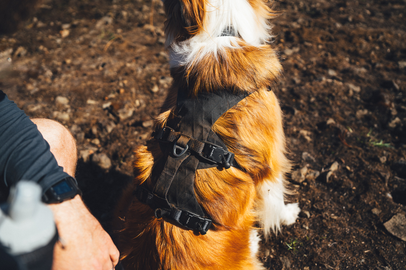 Ruffwear Ridgeline Harness Obsidian Black, S  56-69 cm / 22-27 in - 11