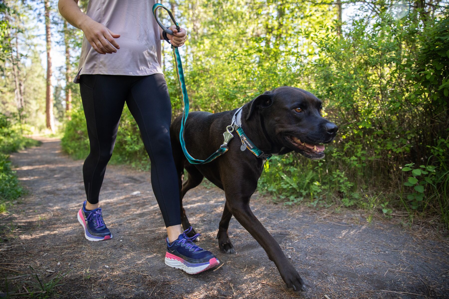 Ruffwear Web Reaction™ Collar - Blue Pool 