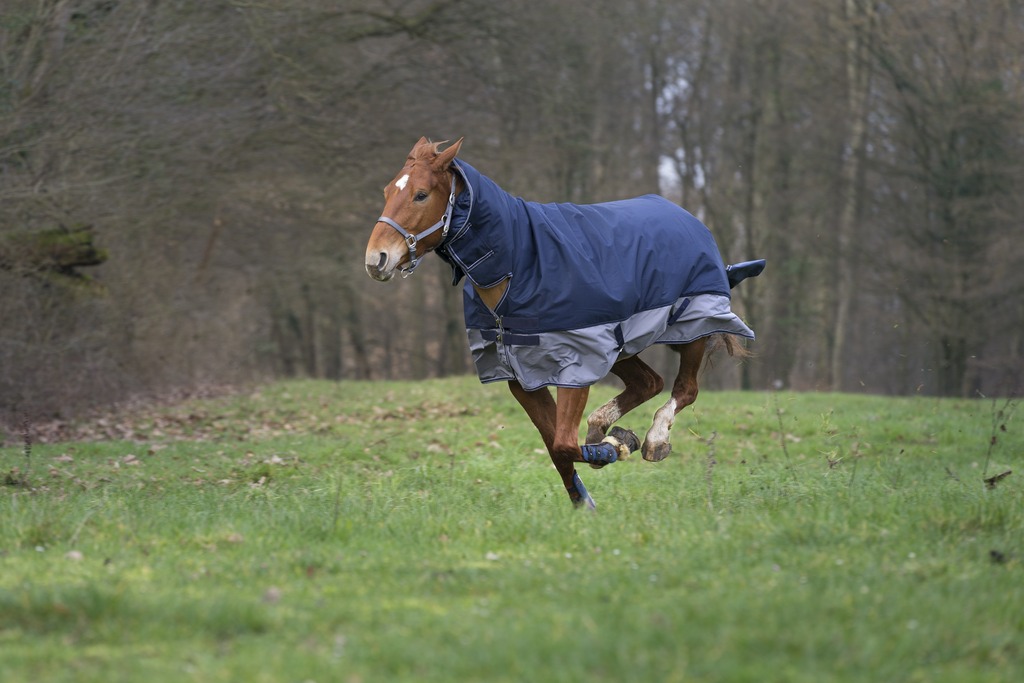 EQUITHEME Tyrex 600 D Combo Turnout Täcke Navy/Grå 200 g