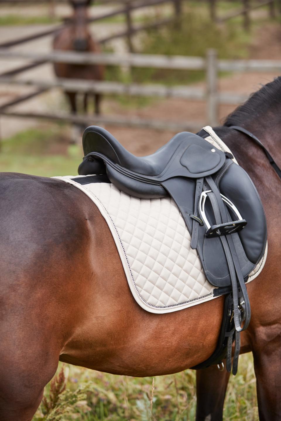HorseGuard Milva Saddle Pad - Beige, Koulu. 16 - vain tämä kappale - 2