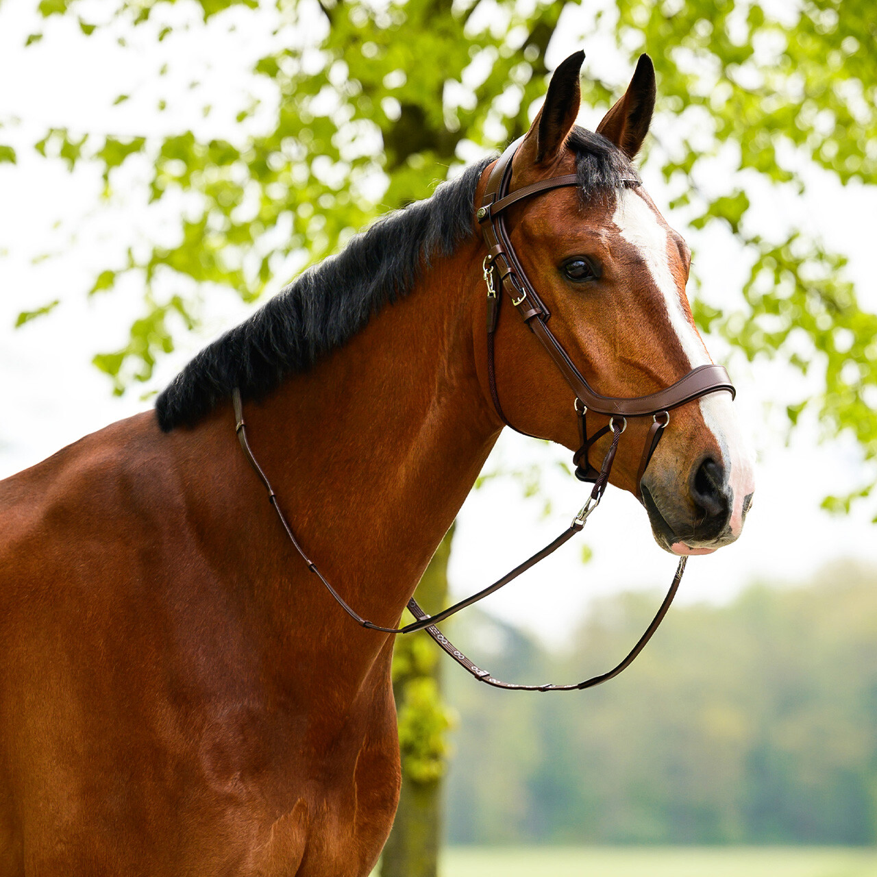 PresTeq FayRein Bitless Reins with Quick-Snap Hooks – Brown, Full
