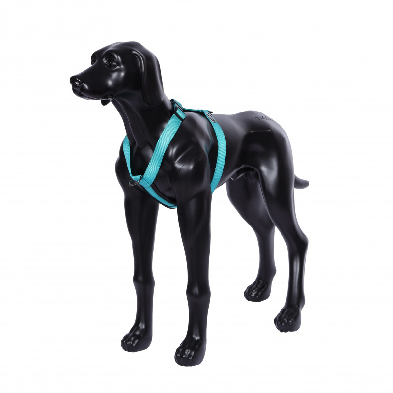 Rukka Form Harness- Turqoise - 4
