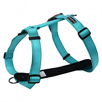 Rukka Form Harness- Turqoise