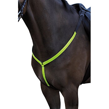 Horse Guard B'Seen reflex breastplate