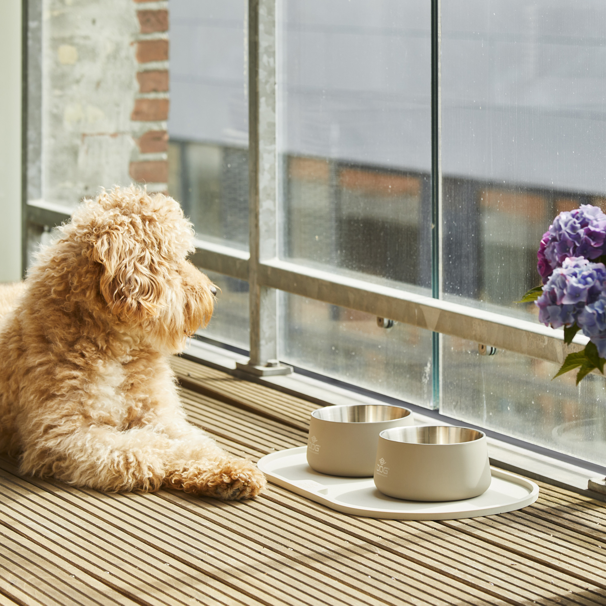 Dog Copenhagen Vega Bowl - Petrol Blue - 6