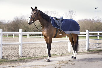 EQUITHEME TYREX 600 D Exercise Sheet Navy/Grey
