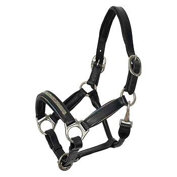 Imperial Riding Grimma Rainbow Rainbow black limited