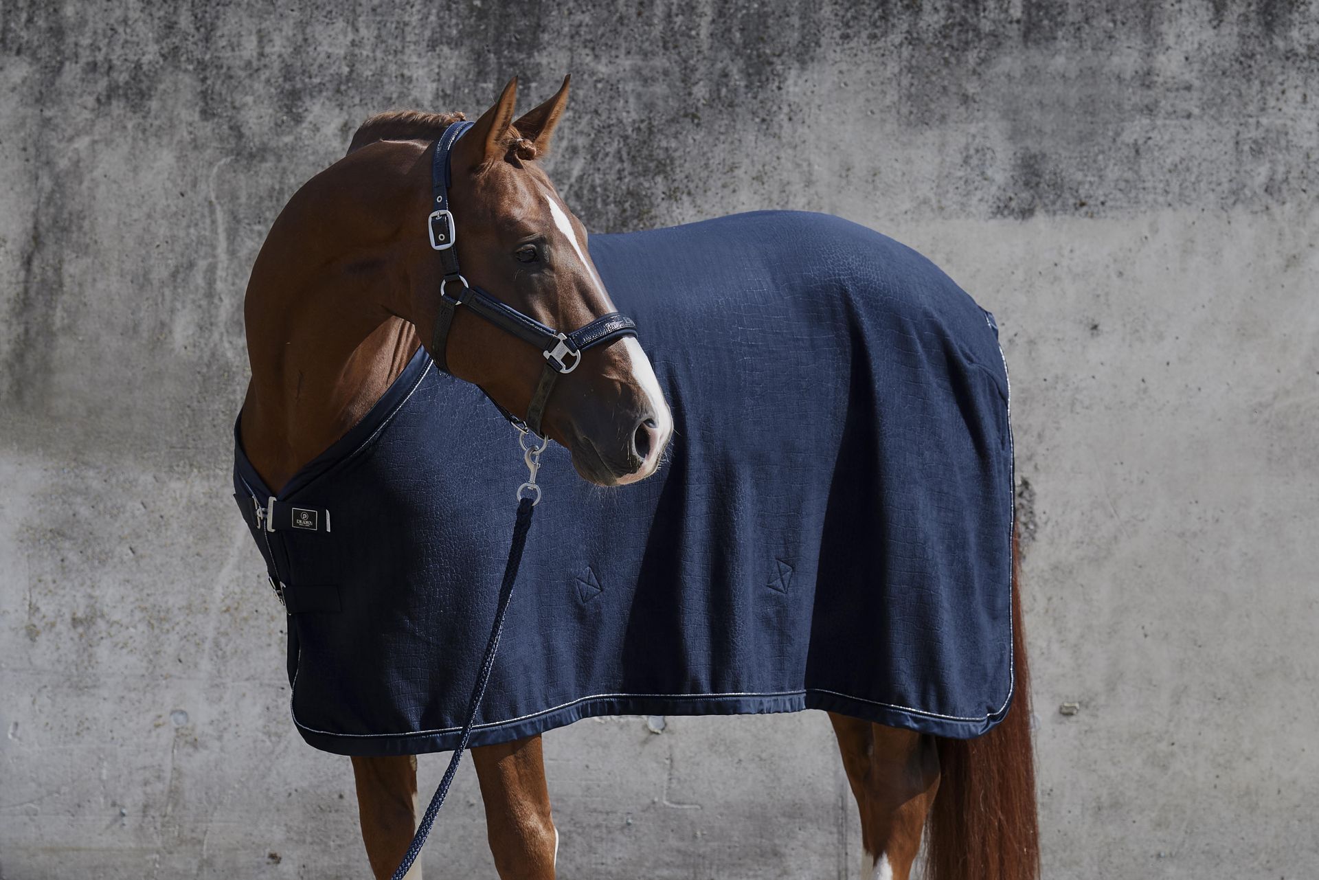 Eskadron Sweat rug in fleece - Navy, M - only this copy - 2
