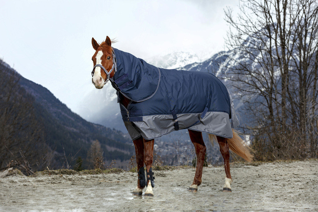 EQUITHEME TYREX 600 D Neck Cover Navy/Grey/White 200 g - 2