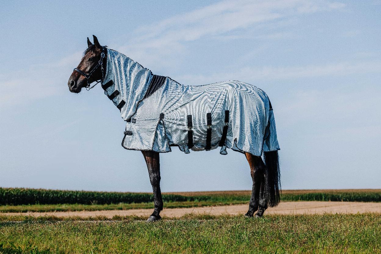 Riding World Combo Flugtäcke Grå (5'6 - 120 cm)