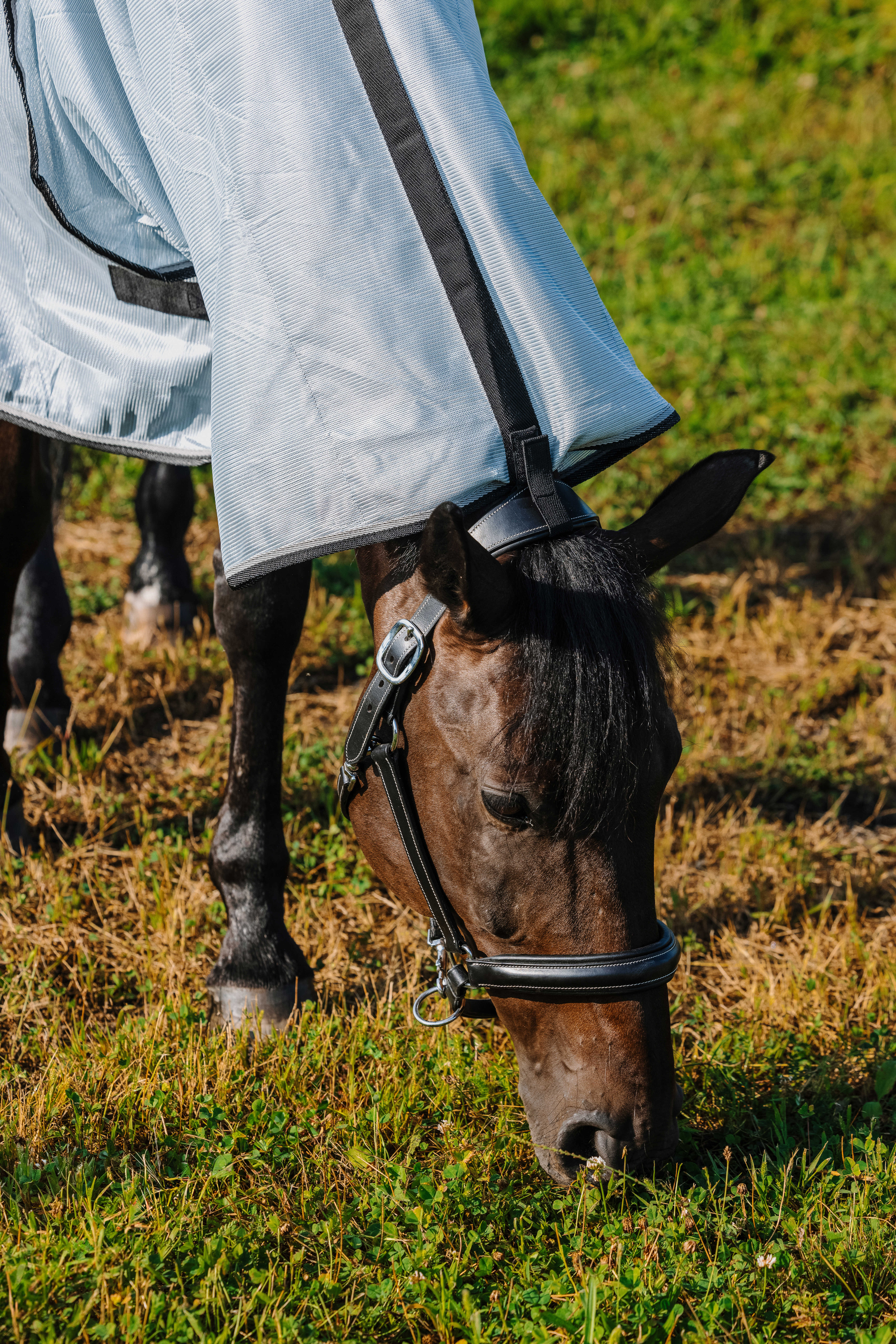 Riding World Combo Fly Rug Grey - 4