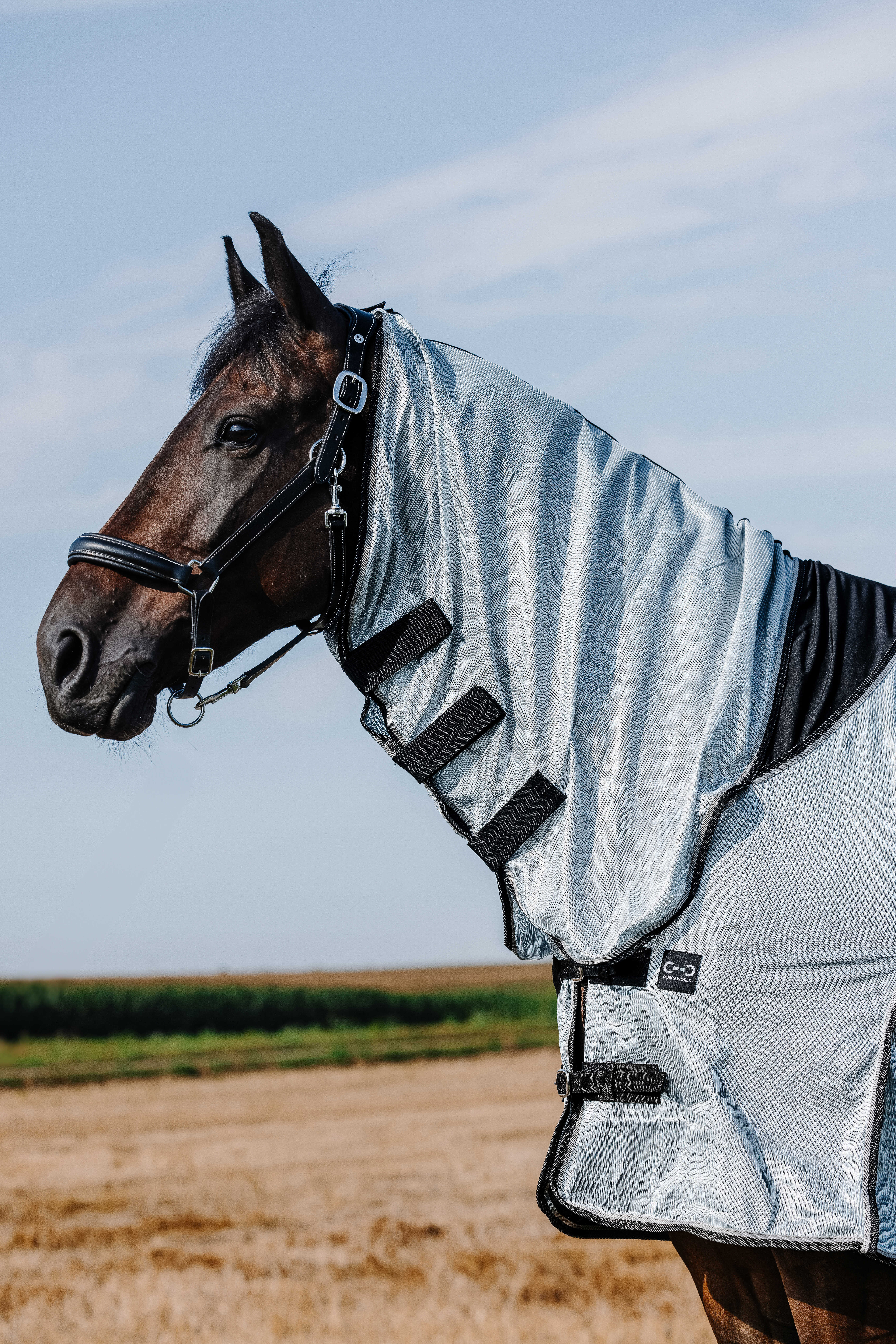 Riding World Combo Fly Rug Grey - 3