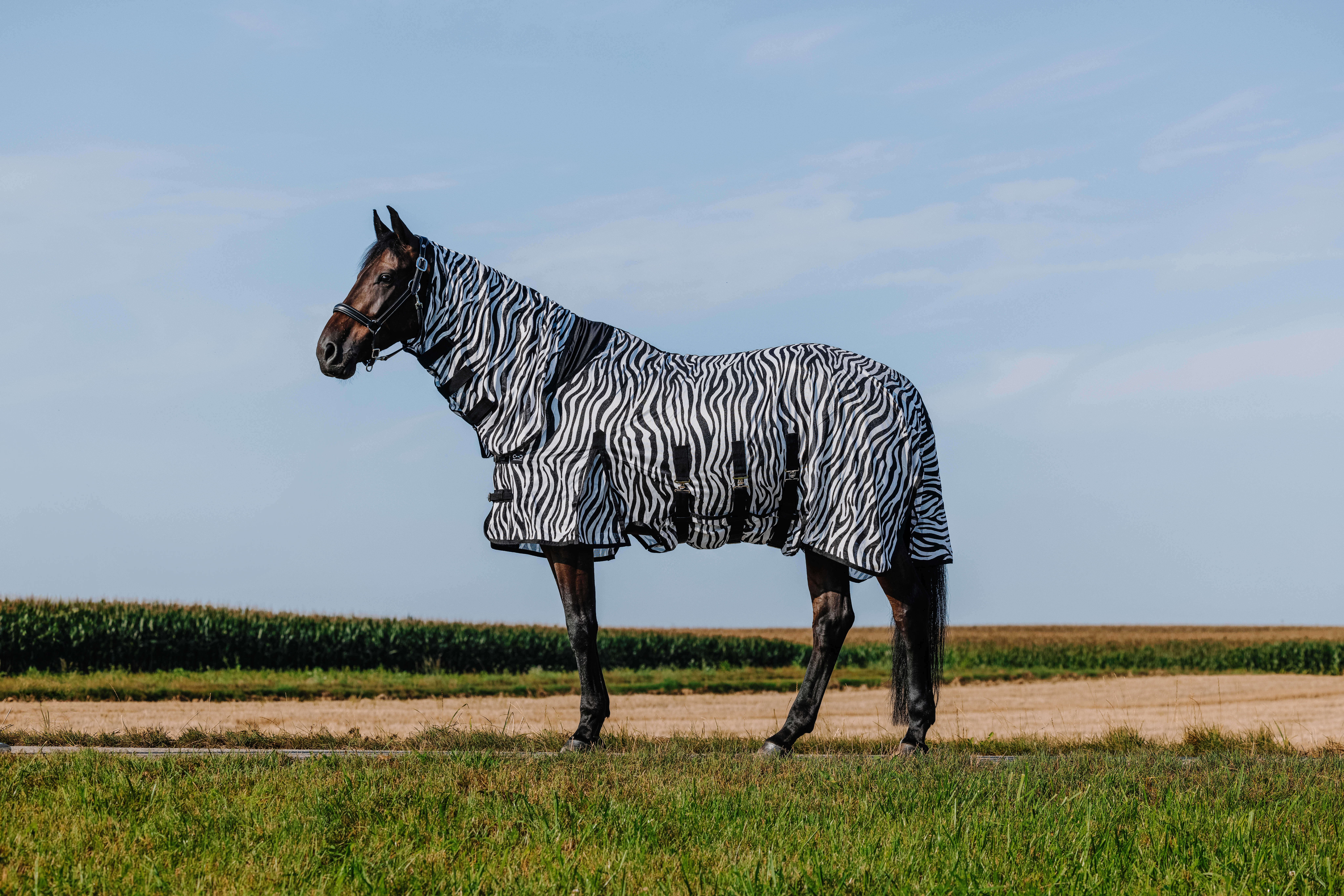 Riding World Combo Fliegendecke Zebra - 2
