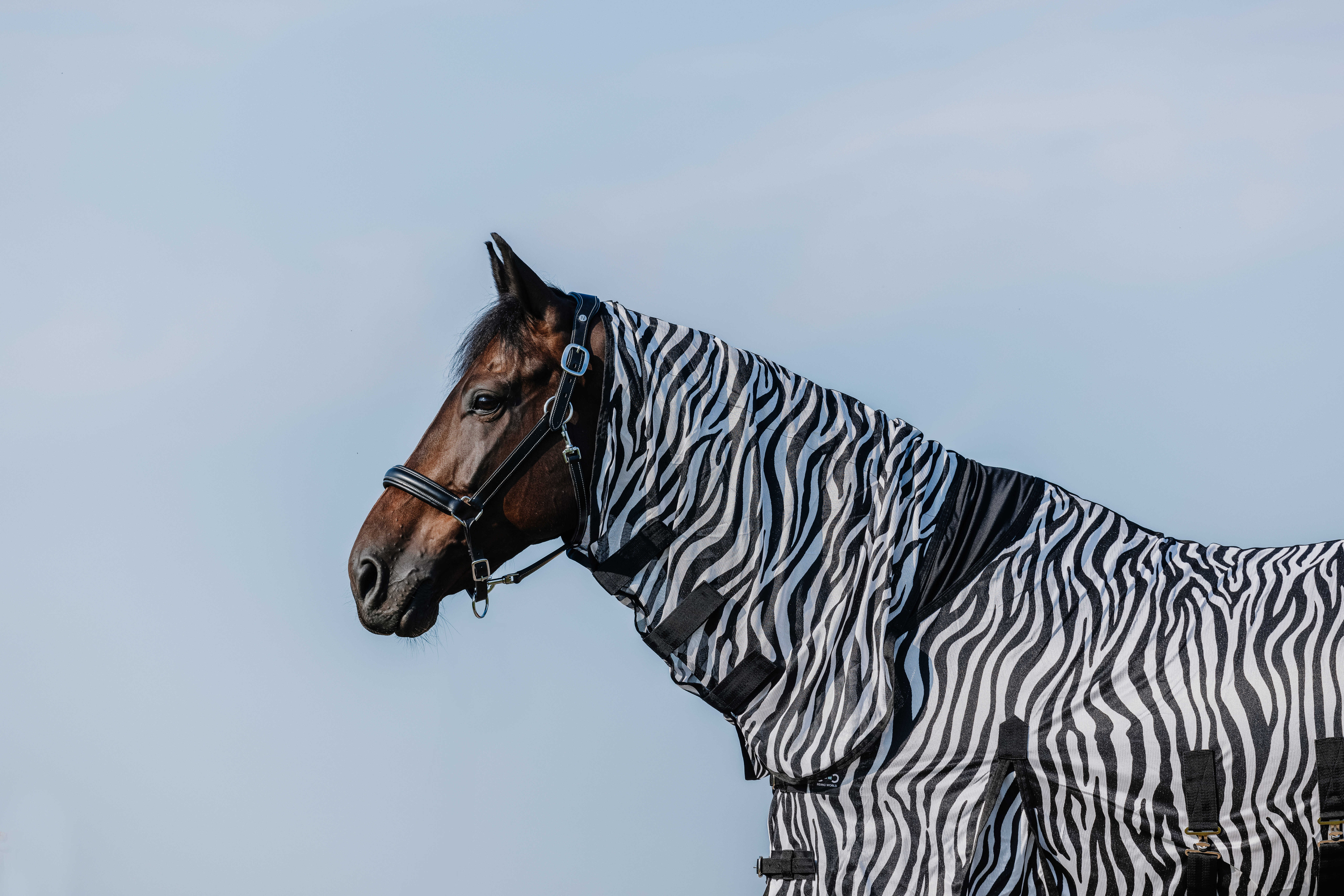 Riding World Combo Fliegendecke Zebra - 3