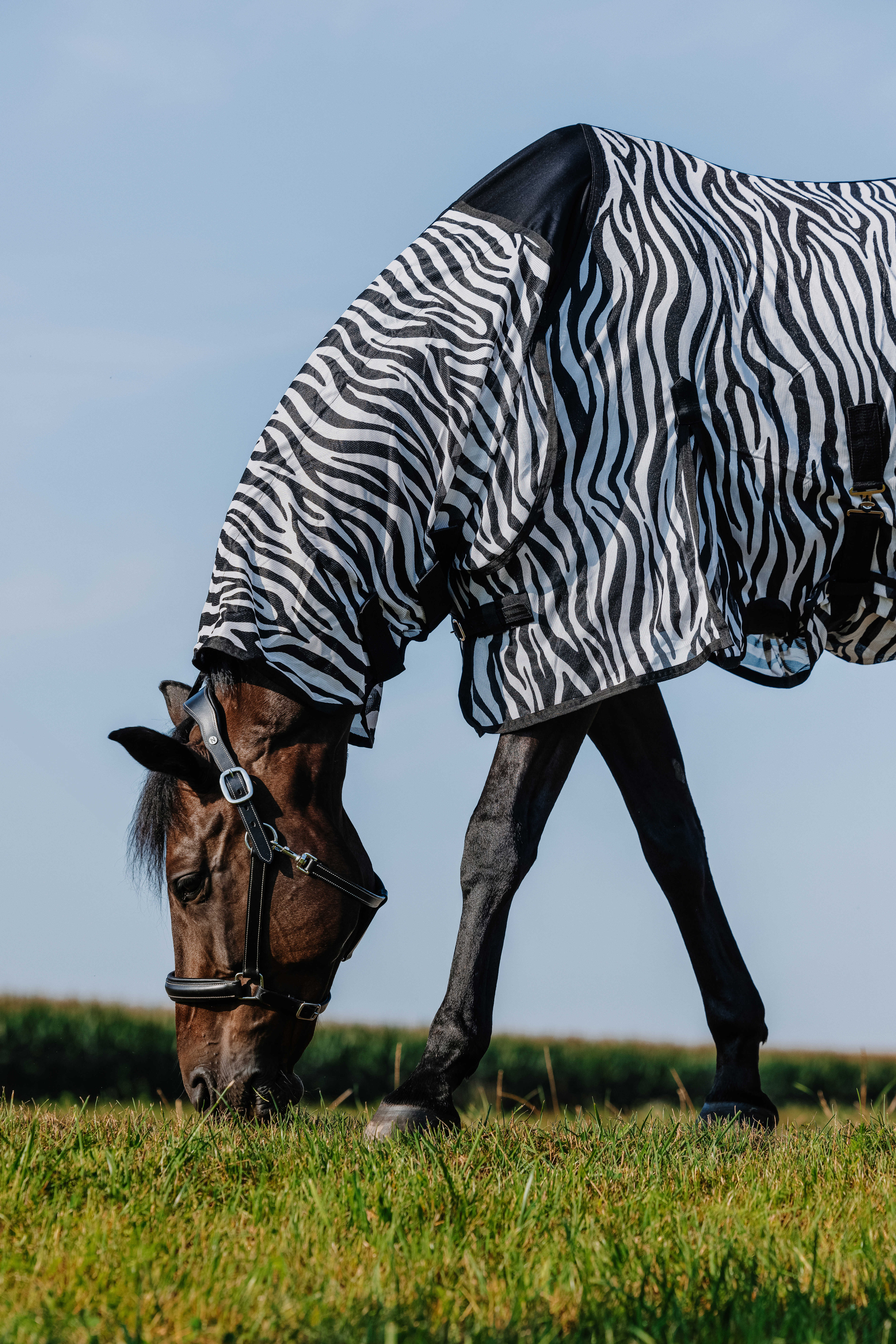 Riding World Combo Fliegendecke Zebra - 4