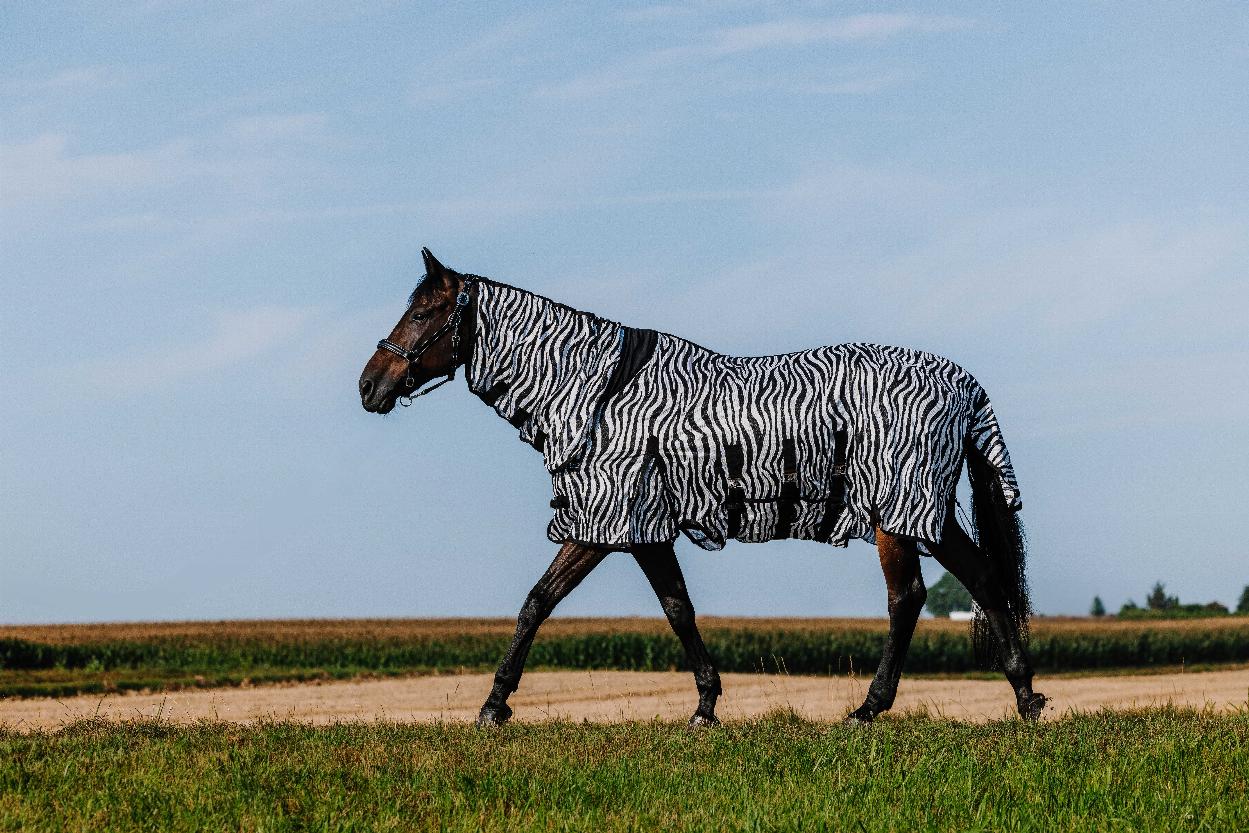Riding World Combo Flugtäcke Zebra (5'6 - 120 cm)