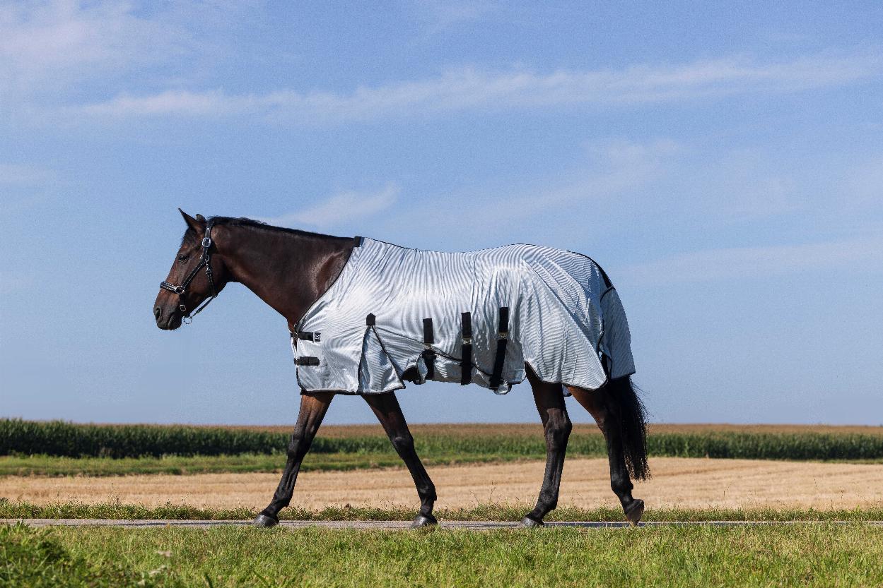 Riding World Flugtäcke Grå (5'6 - 120 cm)