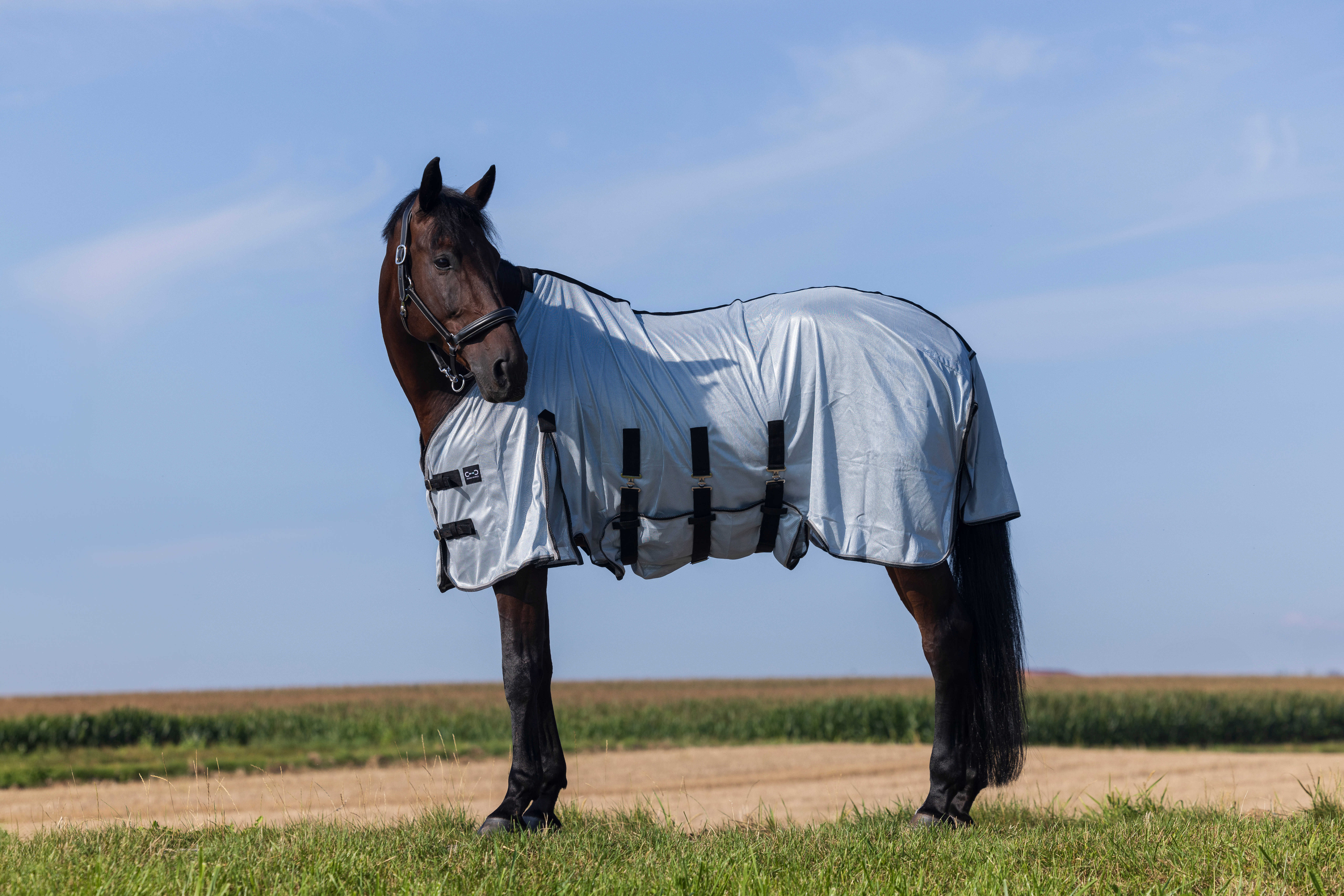 Riding World Fly Rug Grey - 2