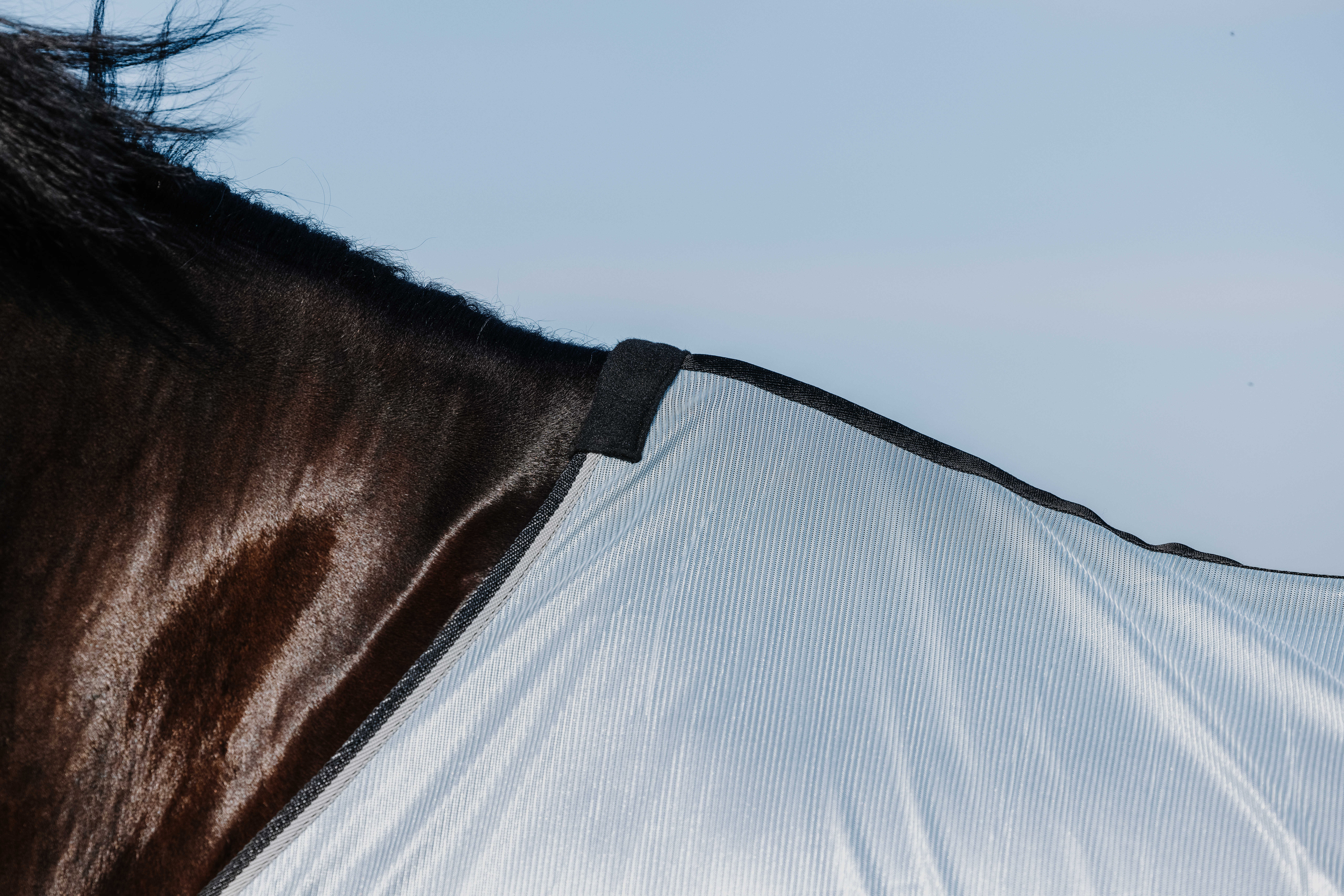 Riding World Fly Rug Grey - 5