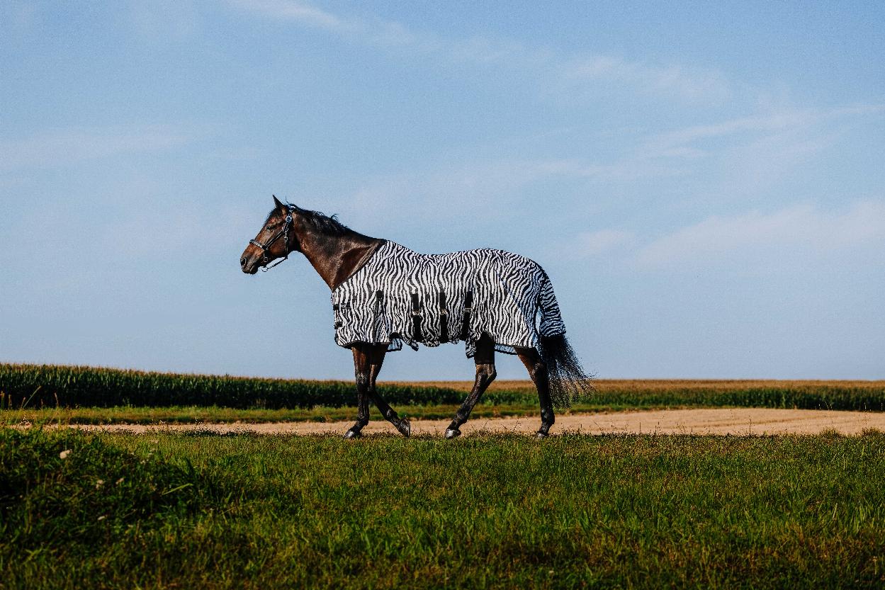 Riding World Flugtäcke Zebra (5'6 - 120 cm)