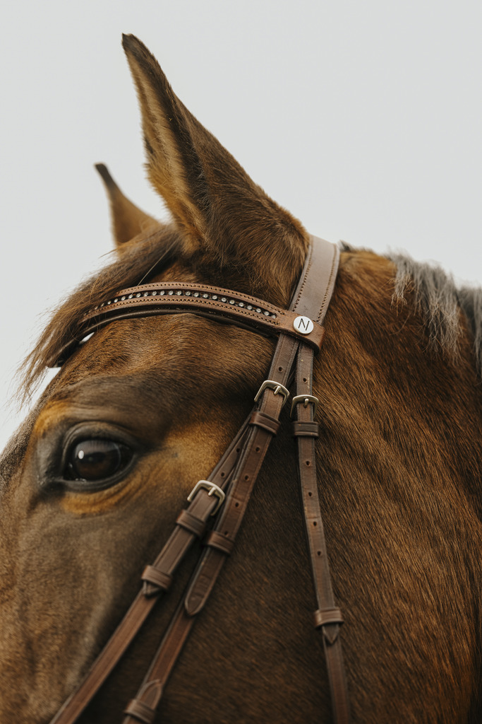 NORTON CLUB 'Strass V' Bridle Havana - 2