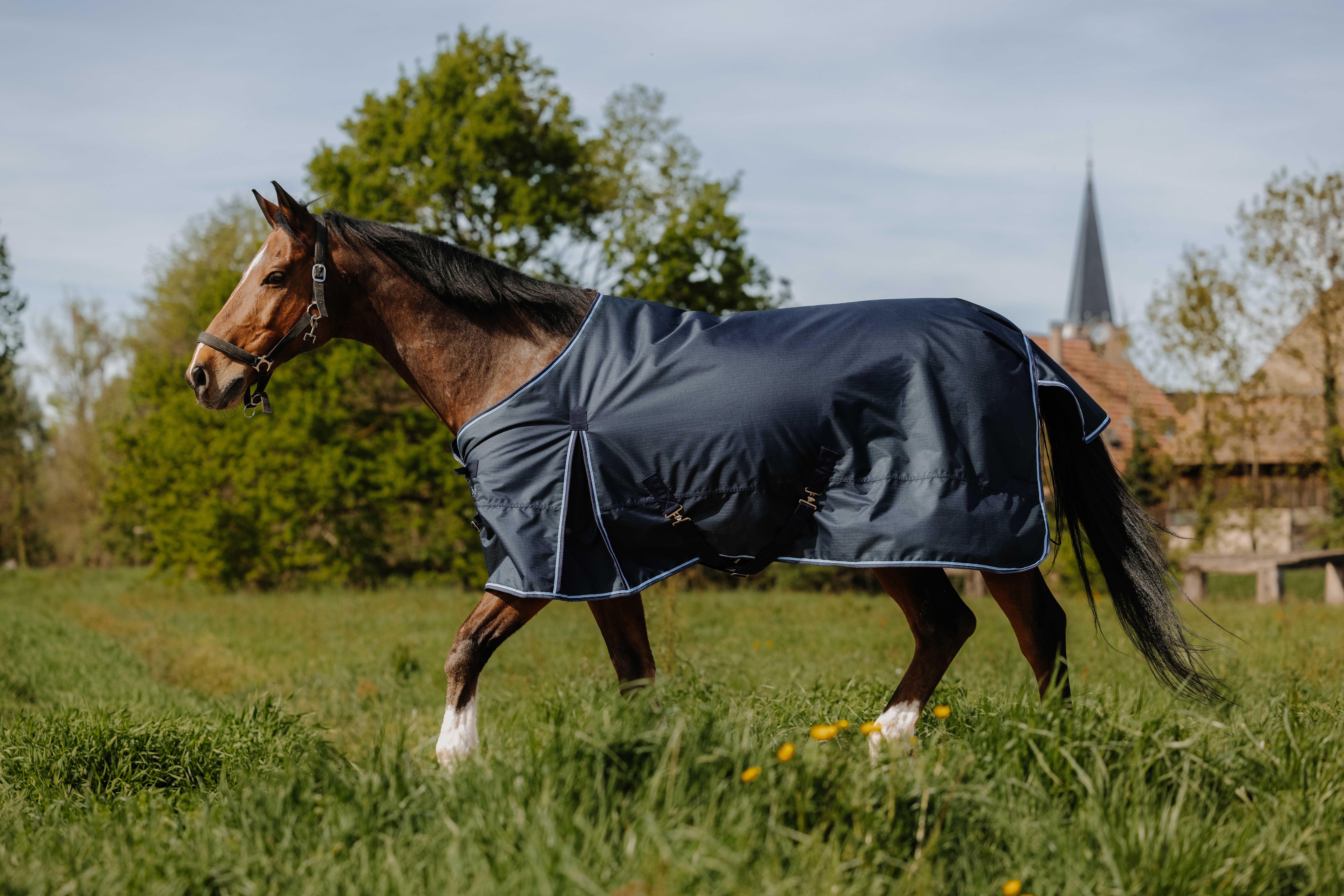 Riding World Eco 1200 D Turnout Rug, 220 g Navy blue - 2