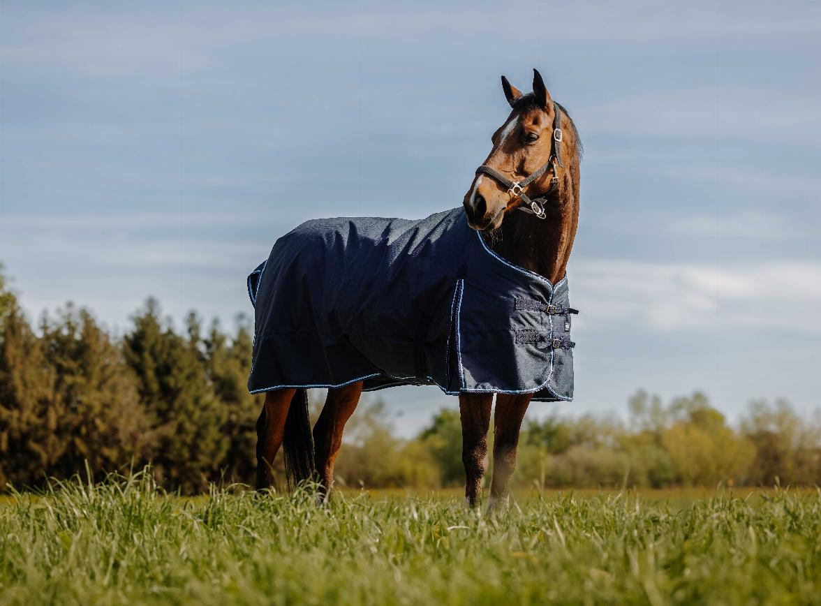 Riding World Eco 600 D Turnout Rug Navy blue
