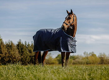 Riding World Eco 600 D Turnout Rug Navy blue