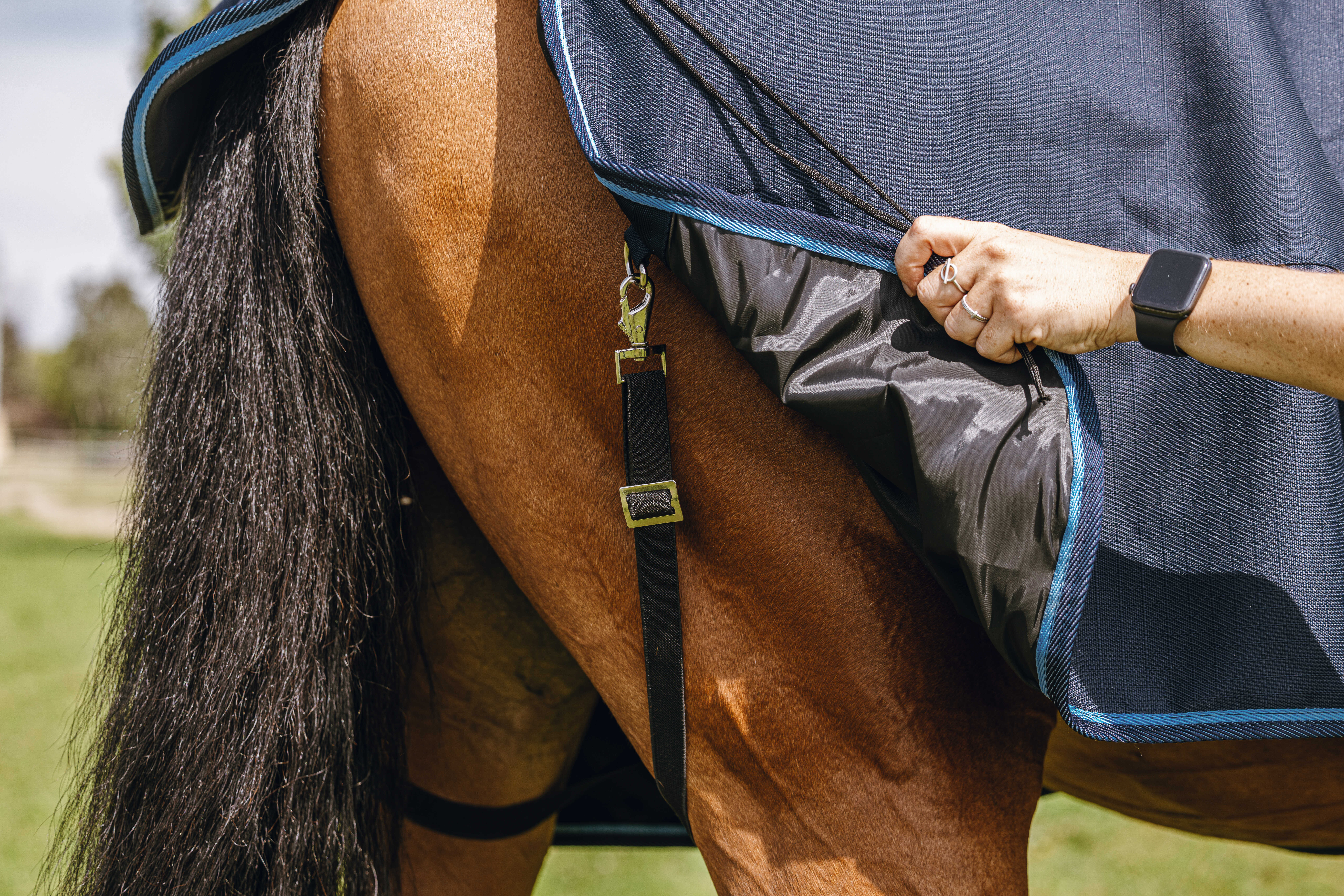 Riding World Eco 600 D Combo Turnout Rug, 220 g Navy blue - 2
