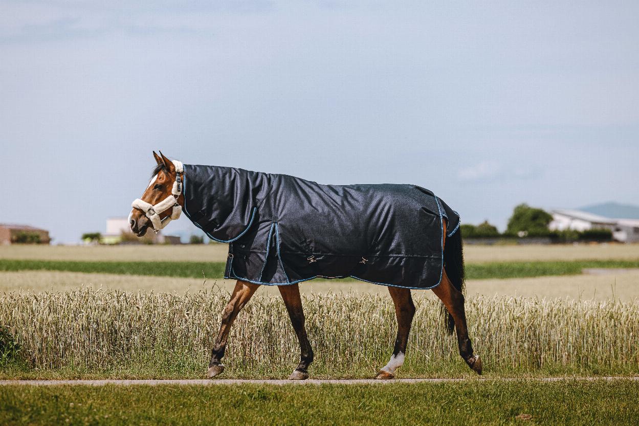 Riding World Eco 600 D Combo Turnout Rug, 220 g Navy blue