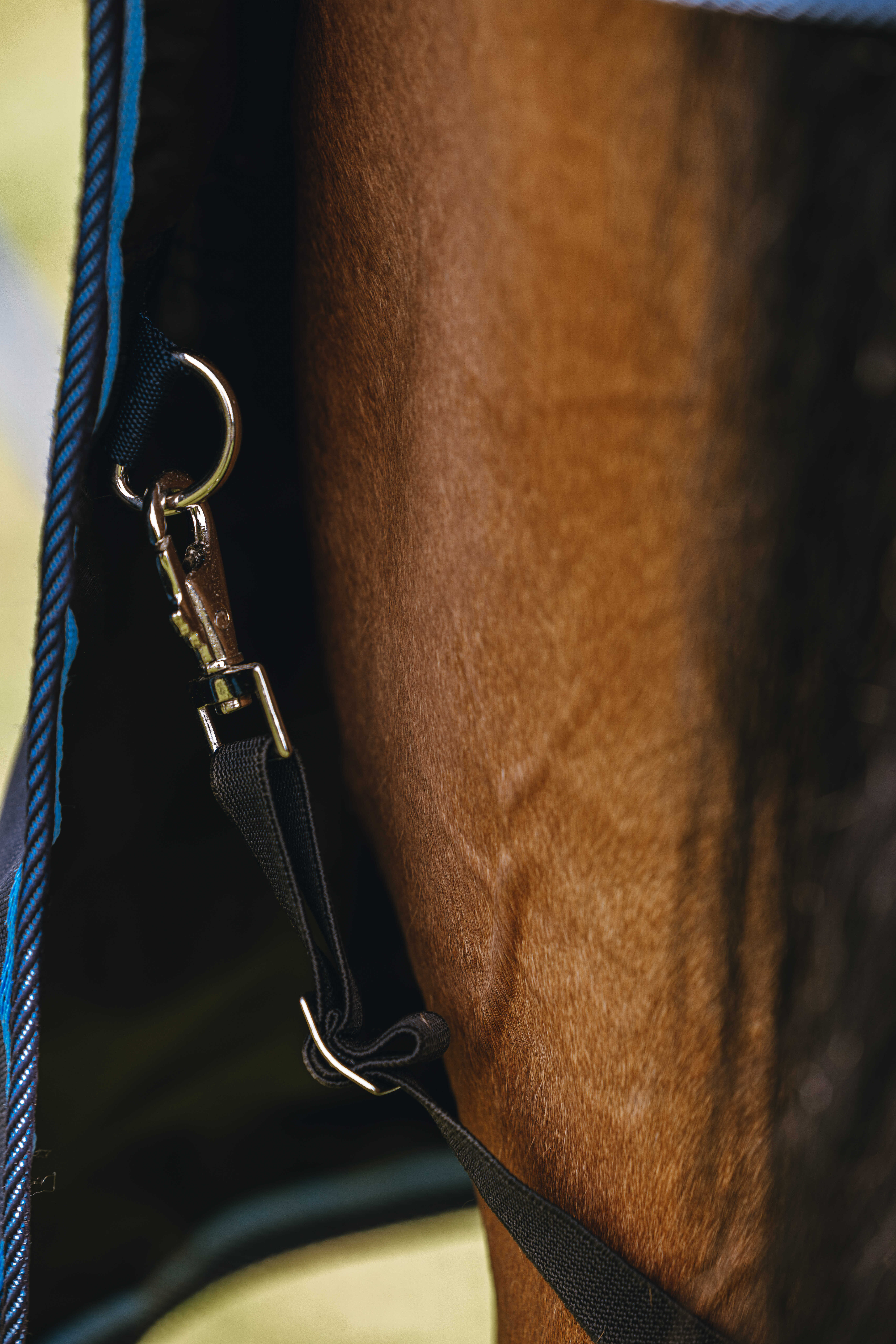 Riding World Eco 600 D Combo Turnout Rug, 220 g Navy blue - 6
