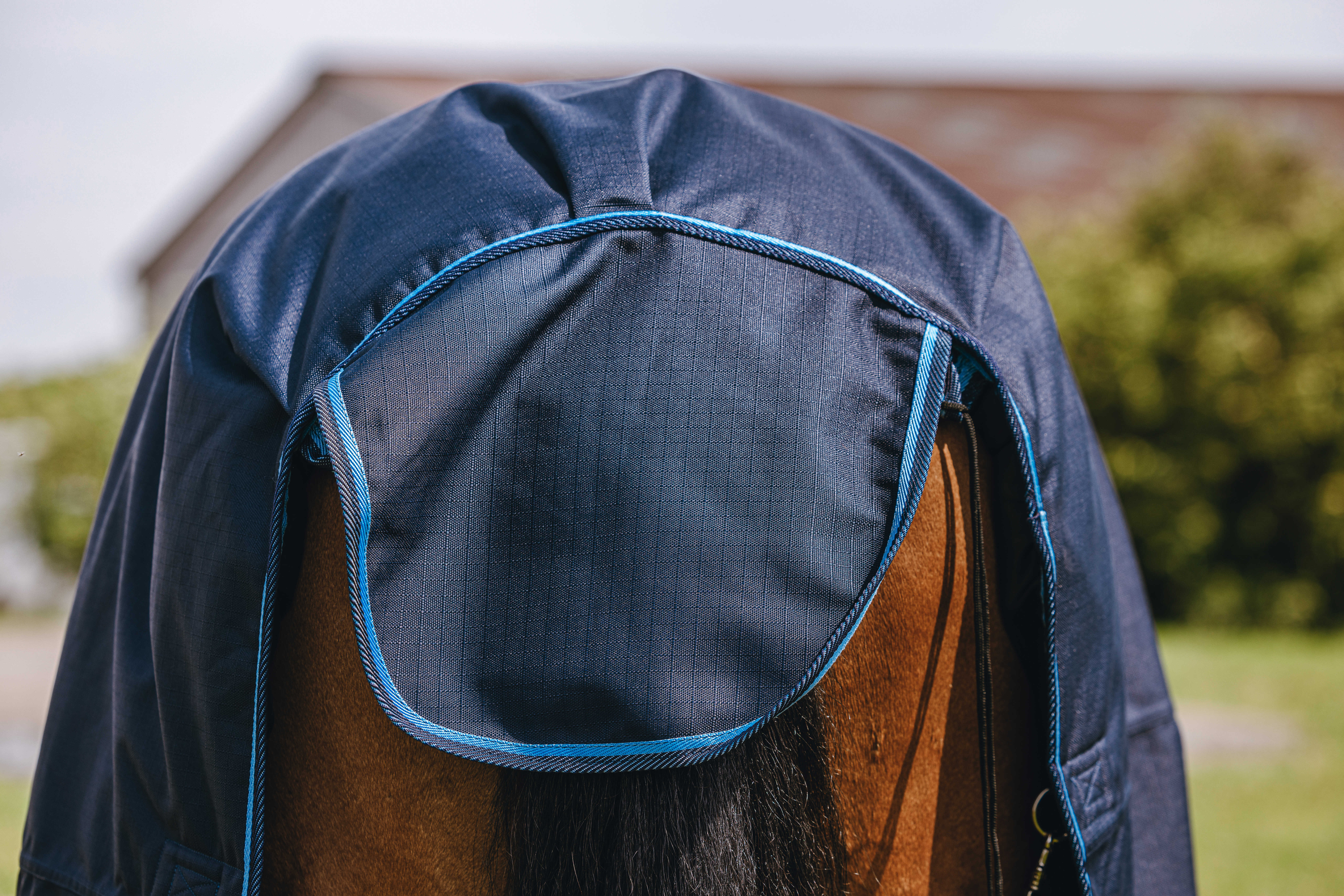 Riding World Eco 600 D Combo Turnout Rug, 220 g Navy blue - 5