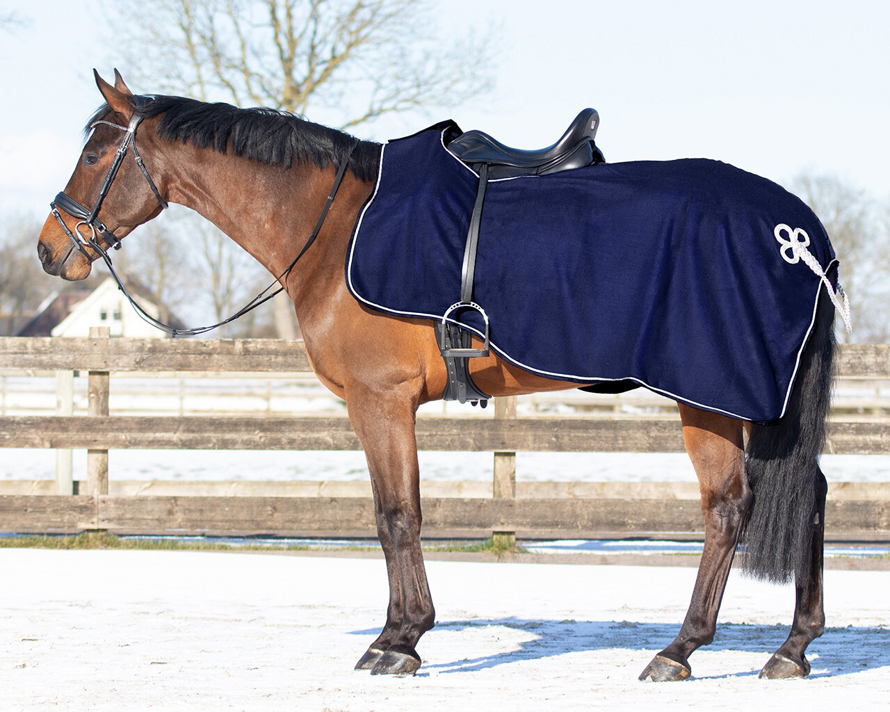 Leuchte Blau / Silber, L (135-145cm) - 2